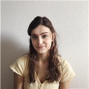 Je donne des cours particuliers d’histoire de l’art en ligne